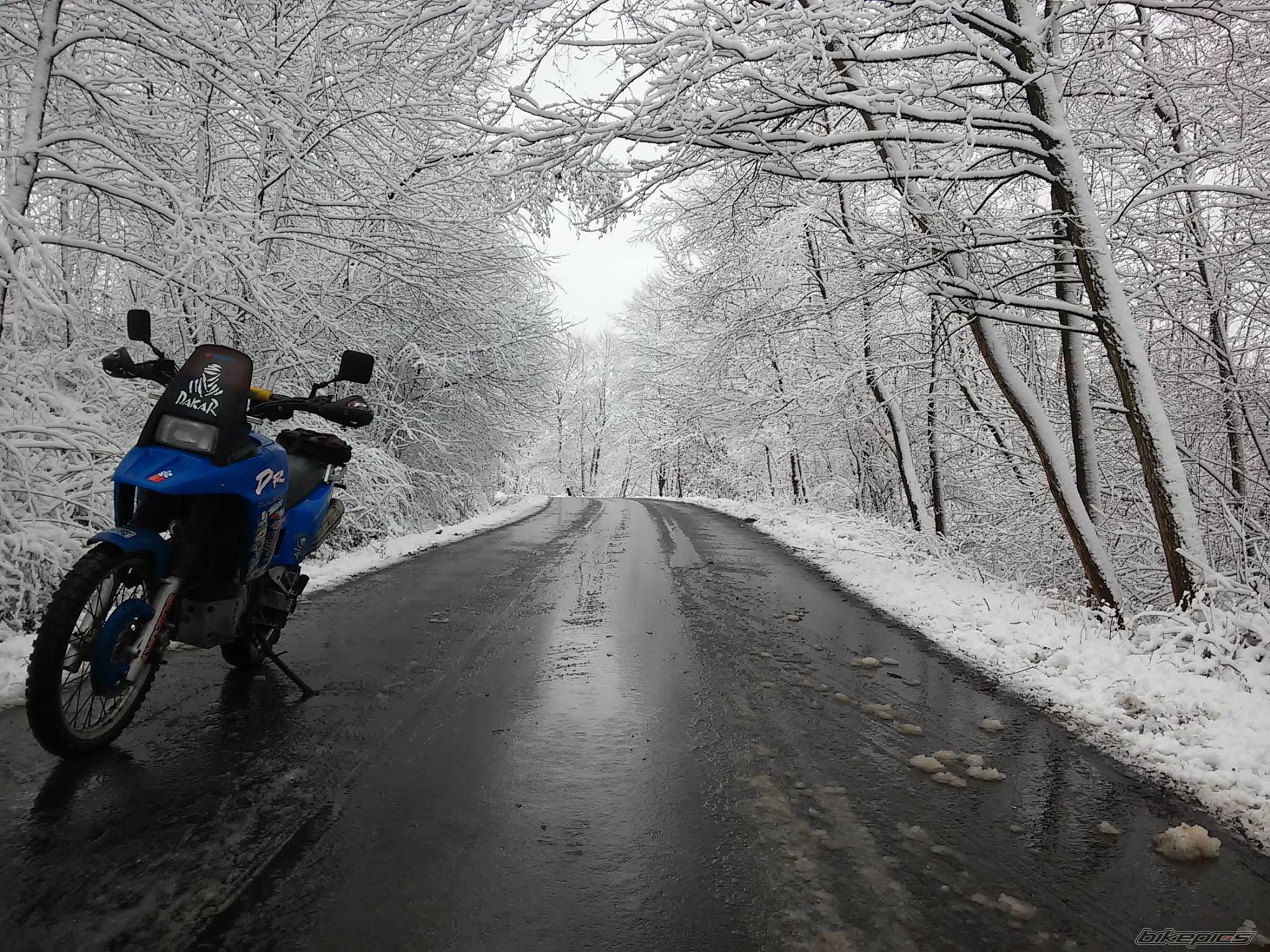 Photo 2721473