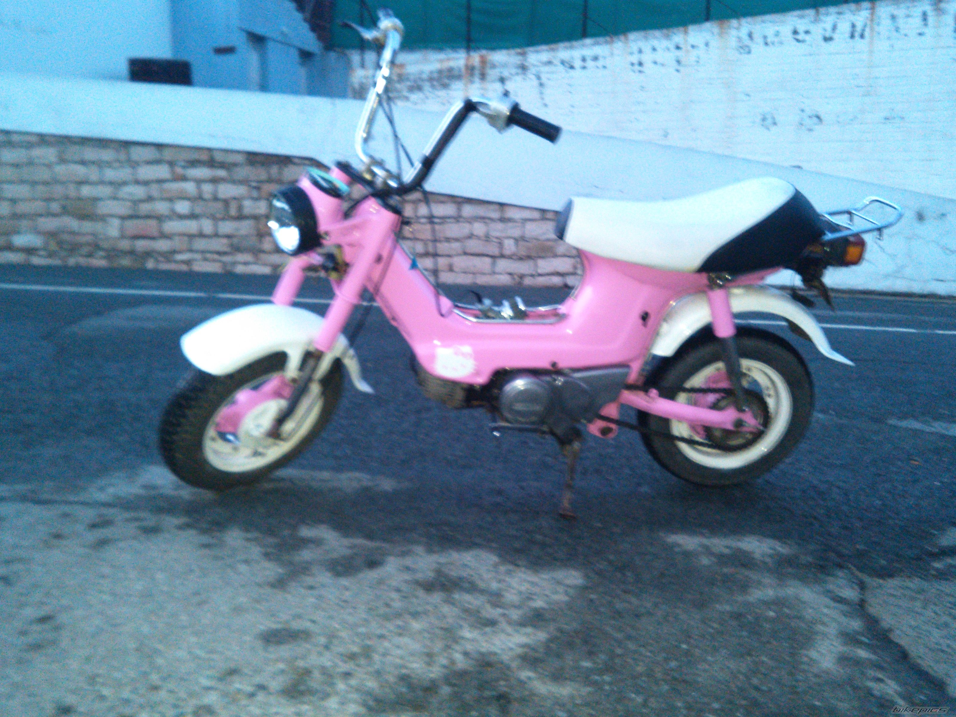 Photo 2723512