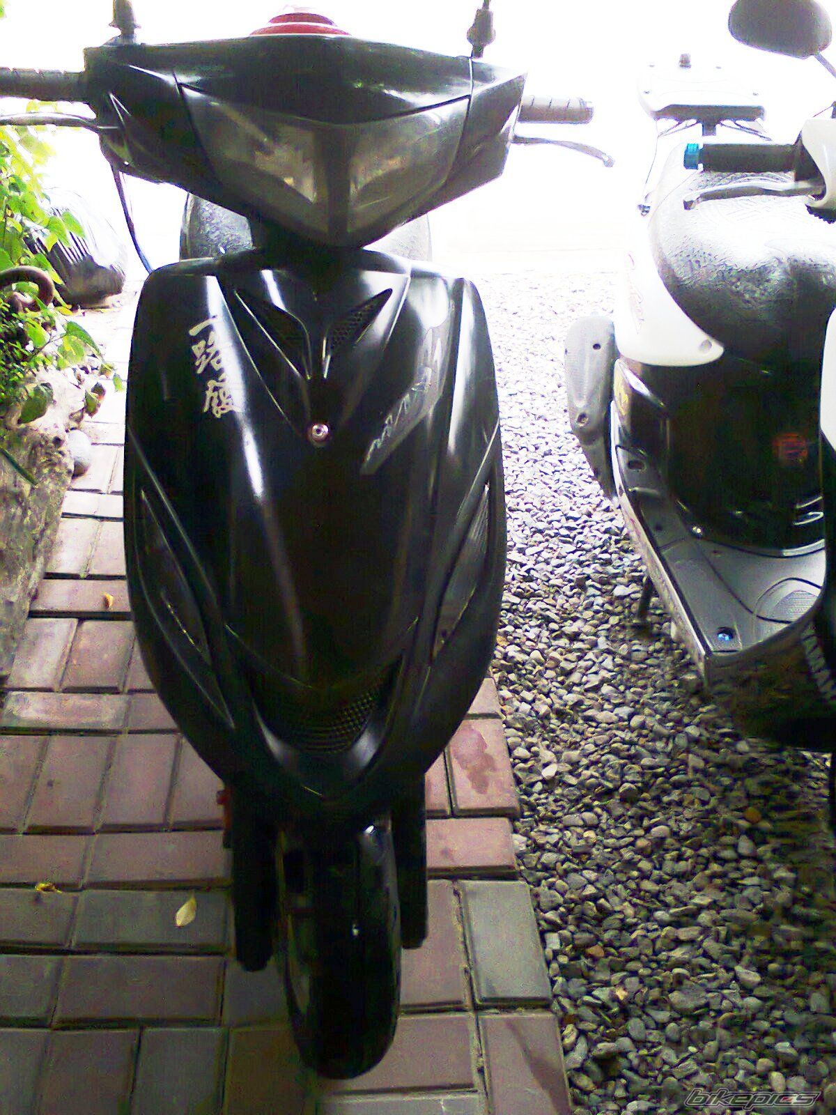 Photo 2725337