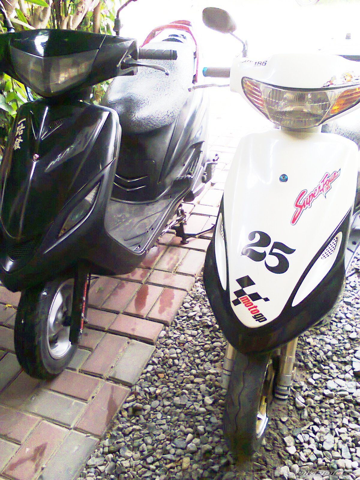 Photo 2725340