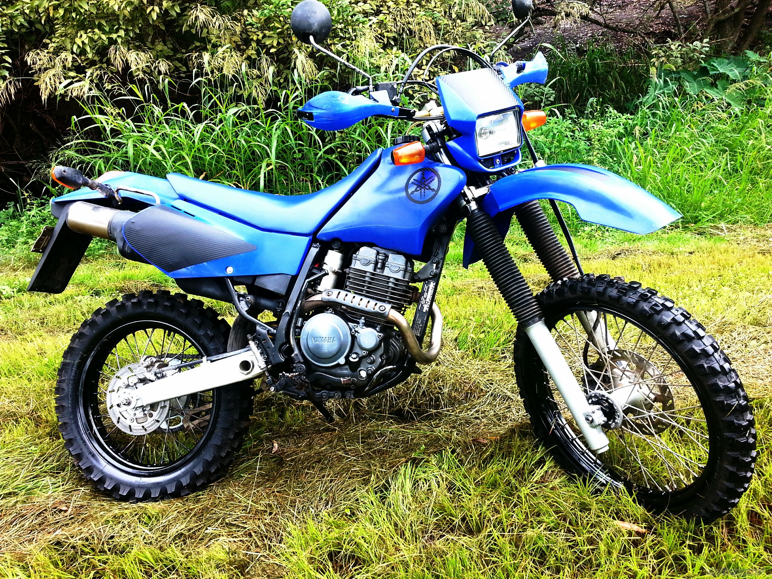 Photo 2725352
