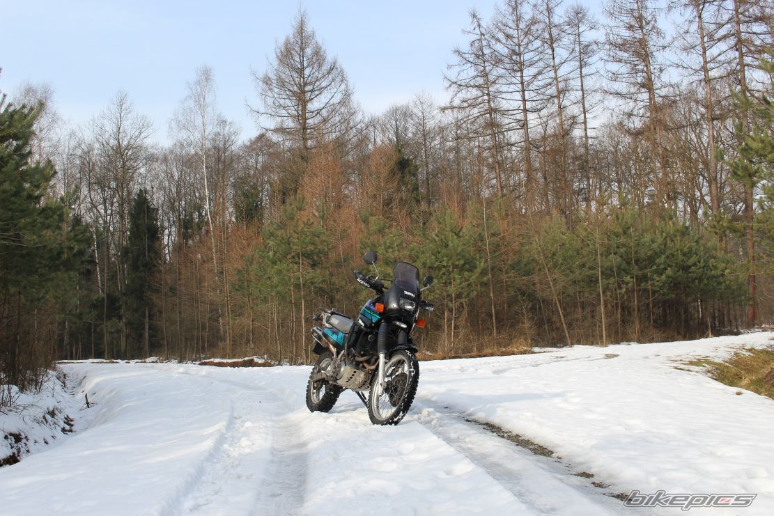 Photo 2725589
