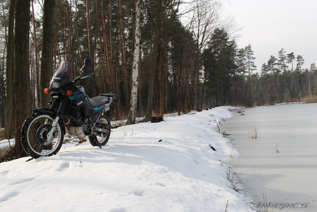 Photo 2725591