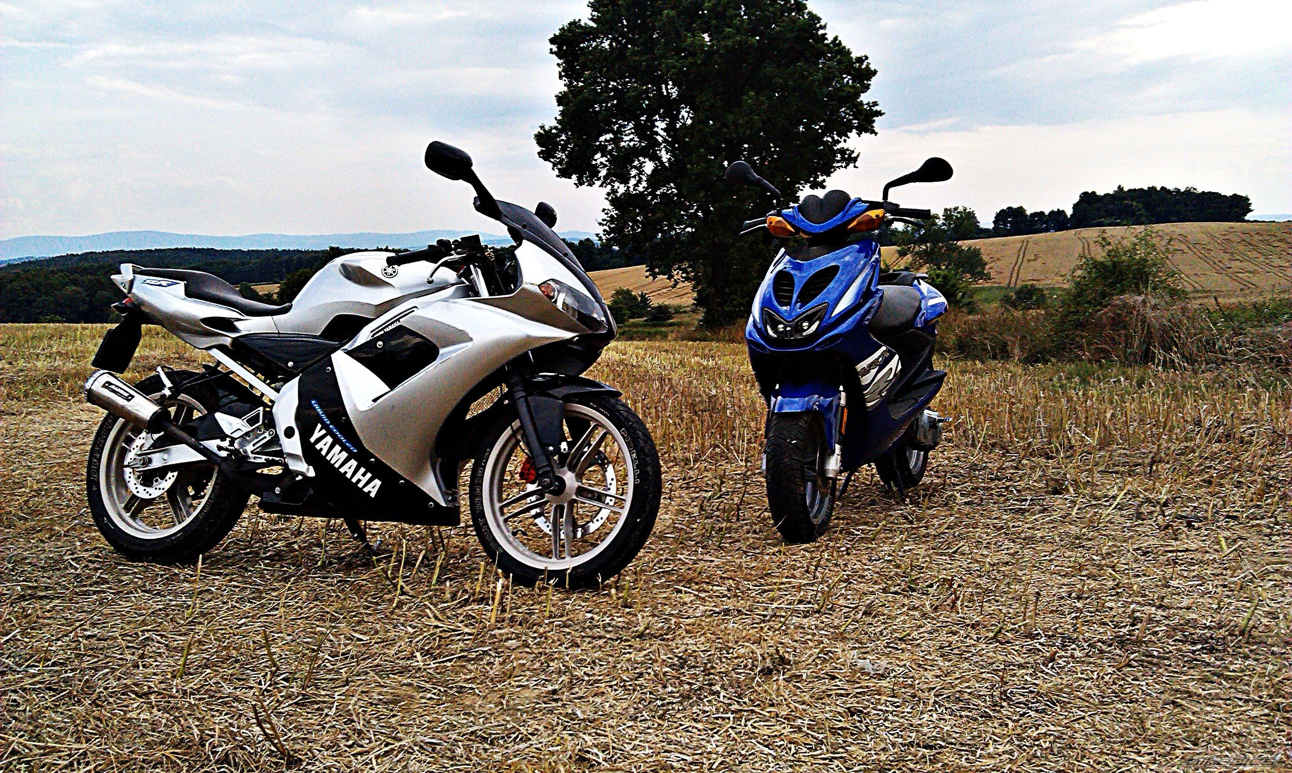 Photo 2726892