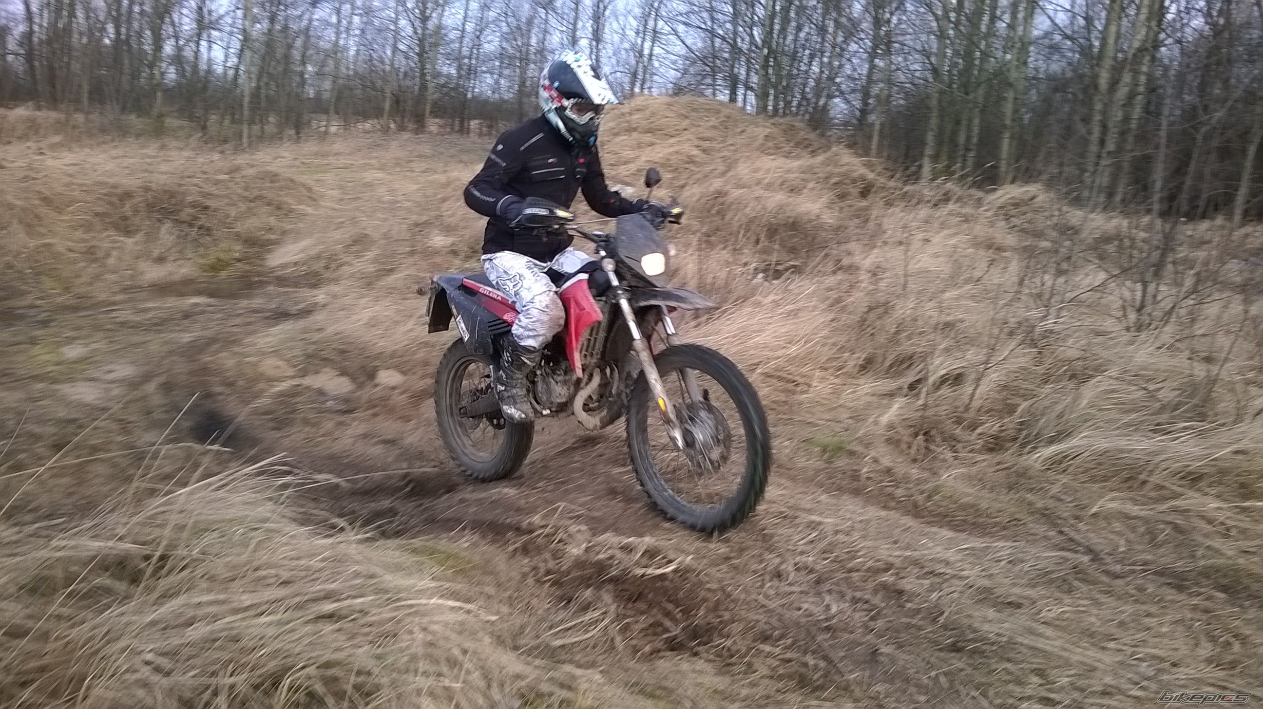 Photo 2728111
