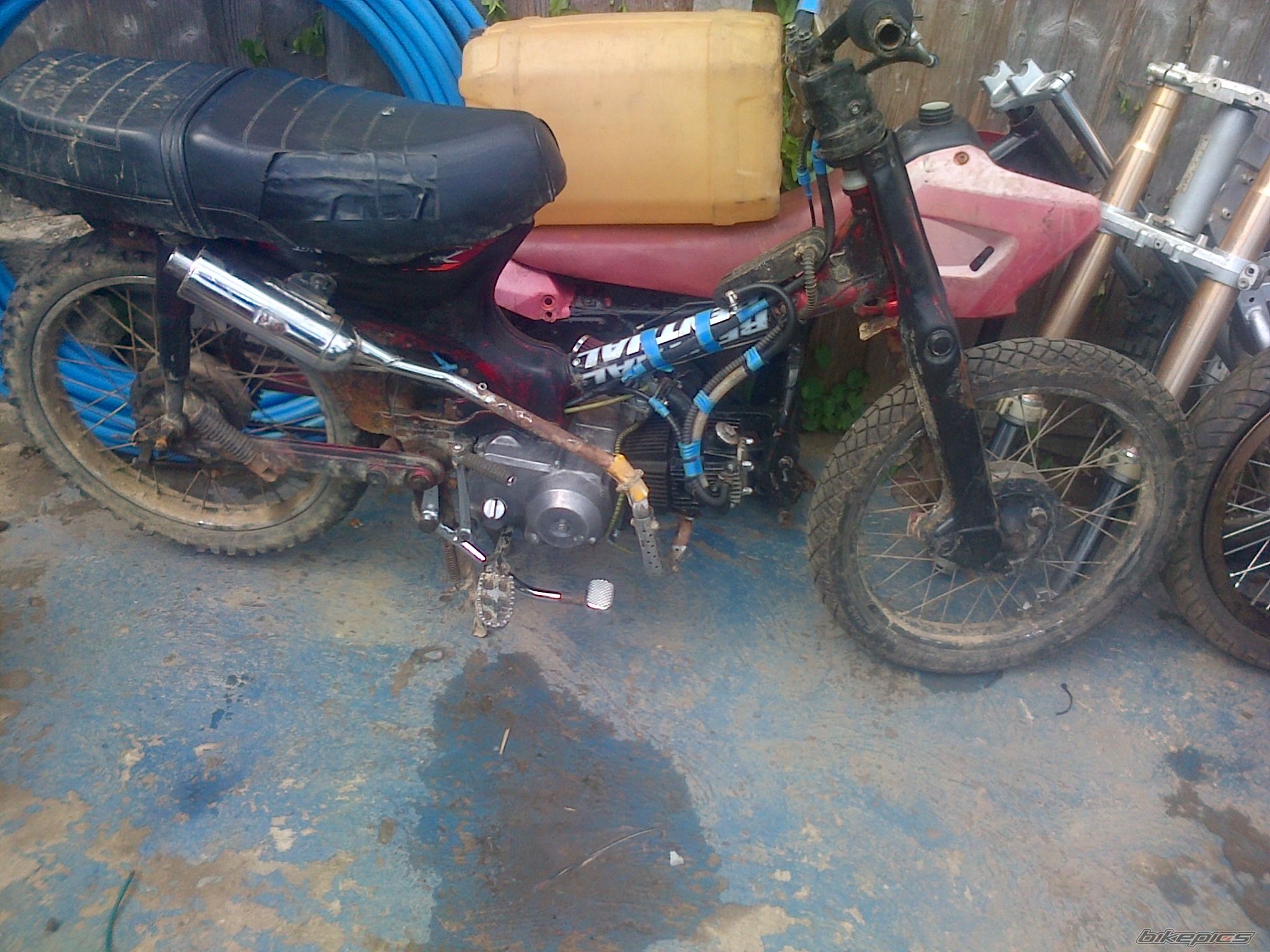 Photo 2729352