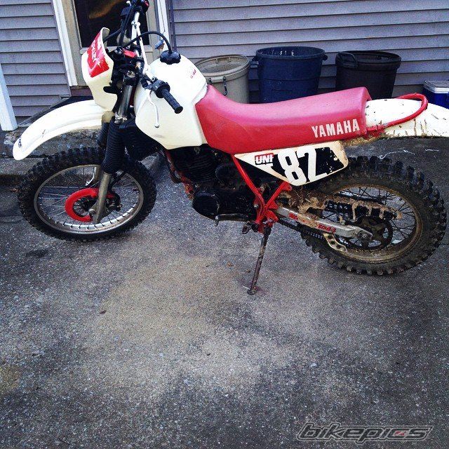 Photo 2730472