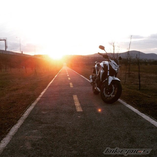 Photo 2730730