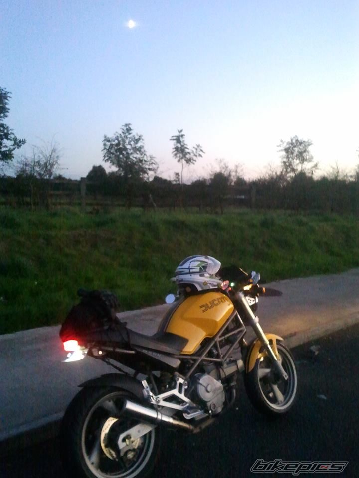 Photo 2730929