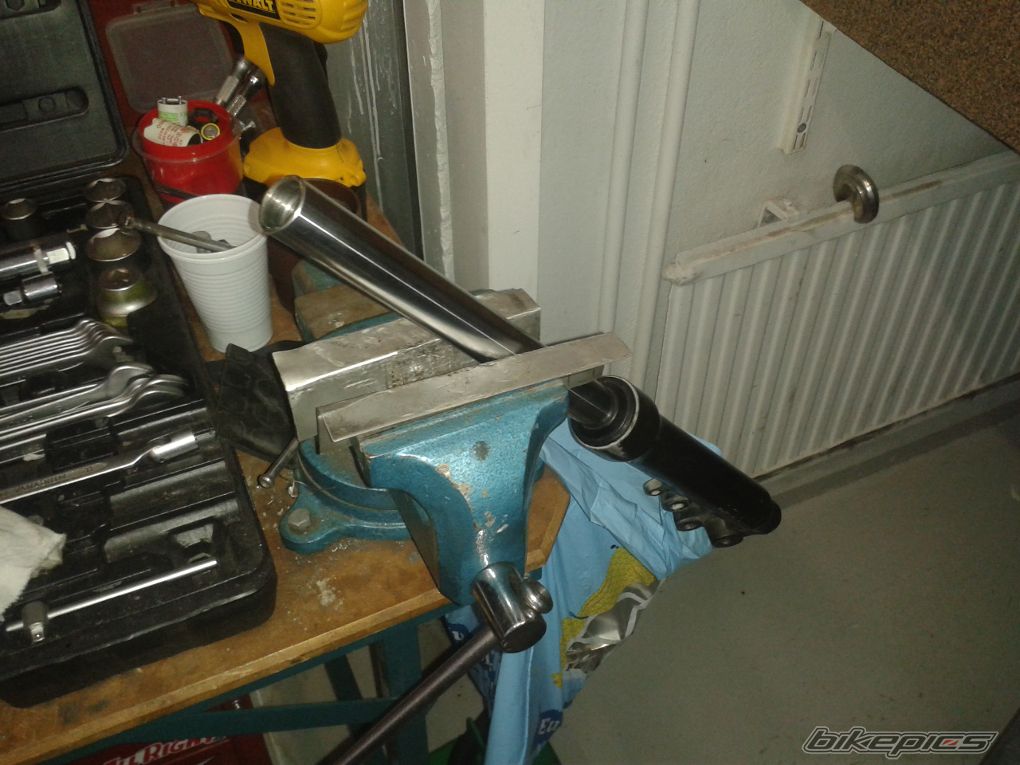 Photo 2731290