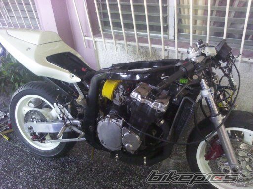 Photo 2731628