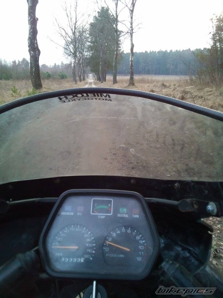 Photo 2731873
