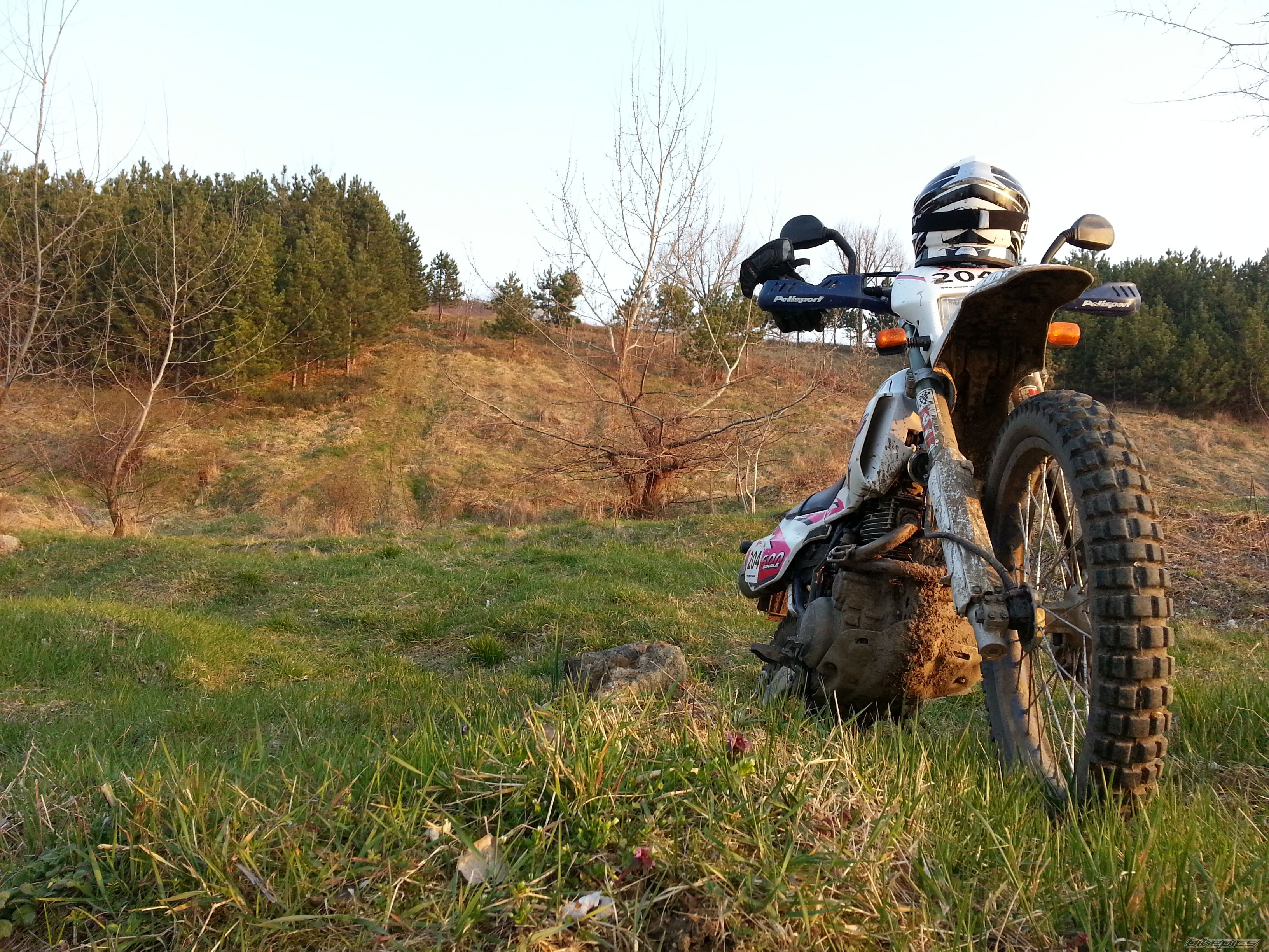 Photo 2732350