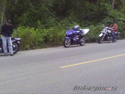 Photo 2732640