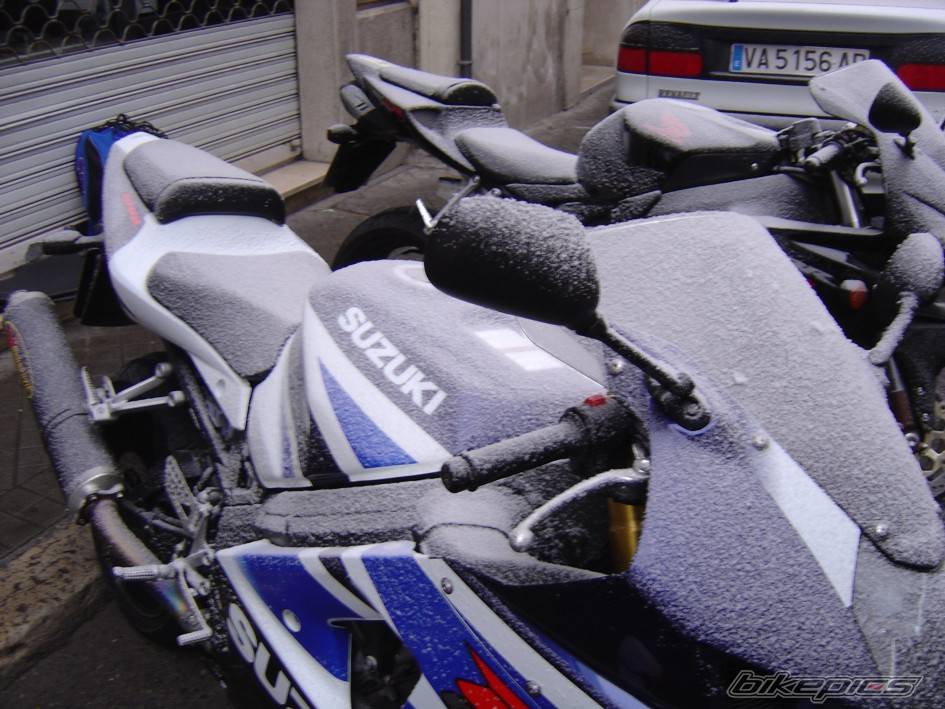 Photo 273384