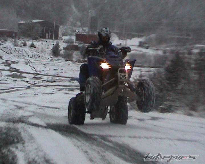 Photo 273386
