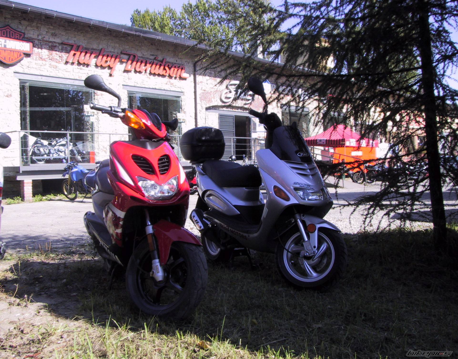 Photo 273417