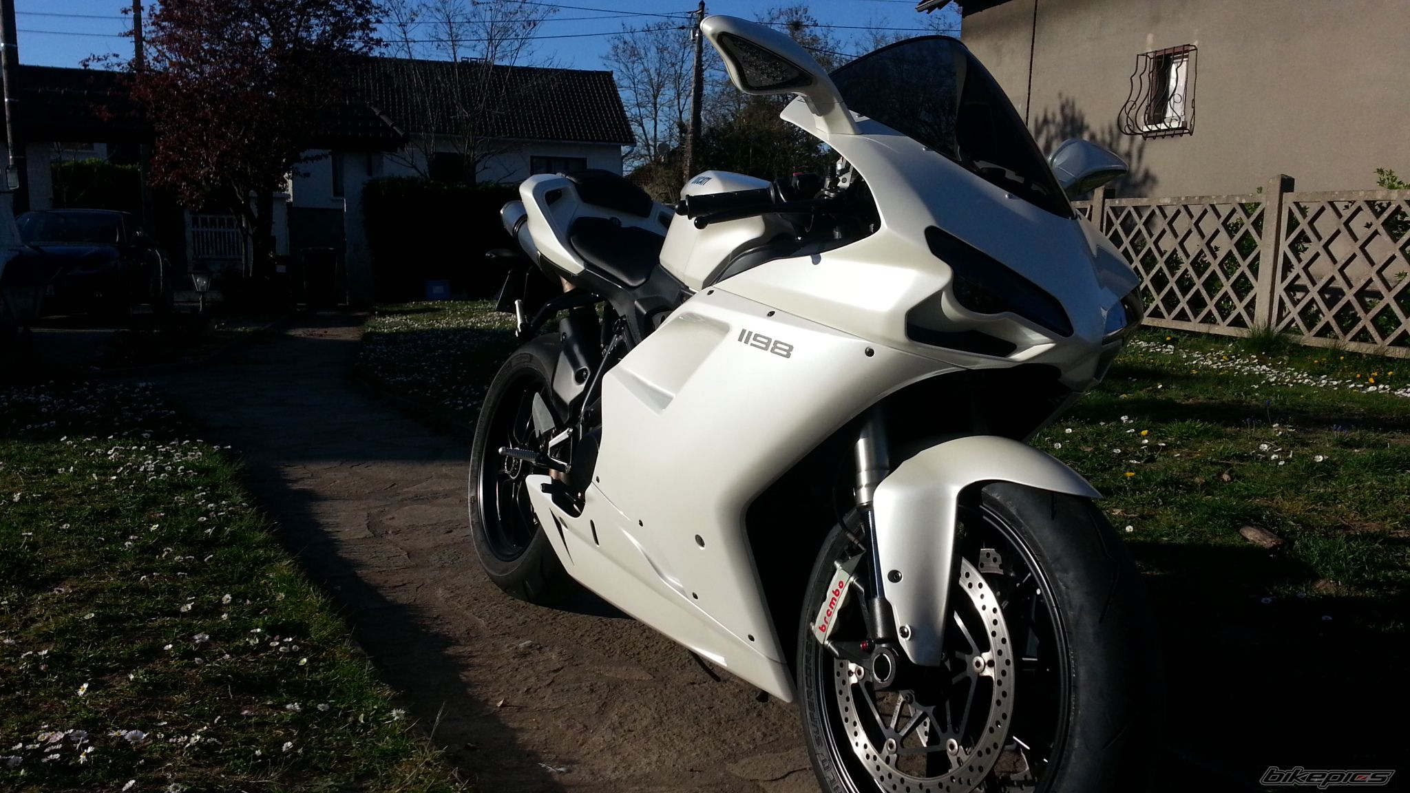 Photo 2736407