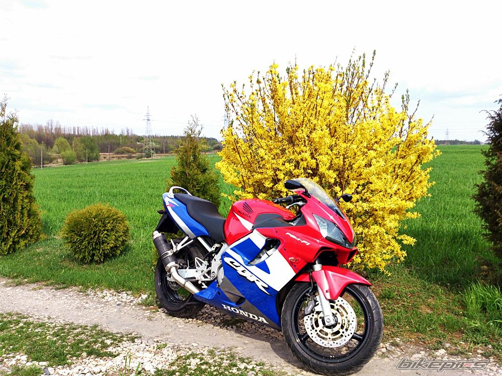 Bike Photo 2738351
