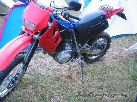 Photo 273849