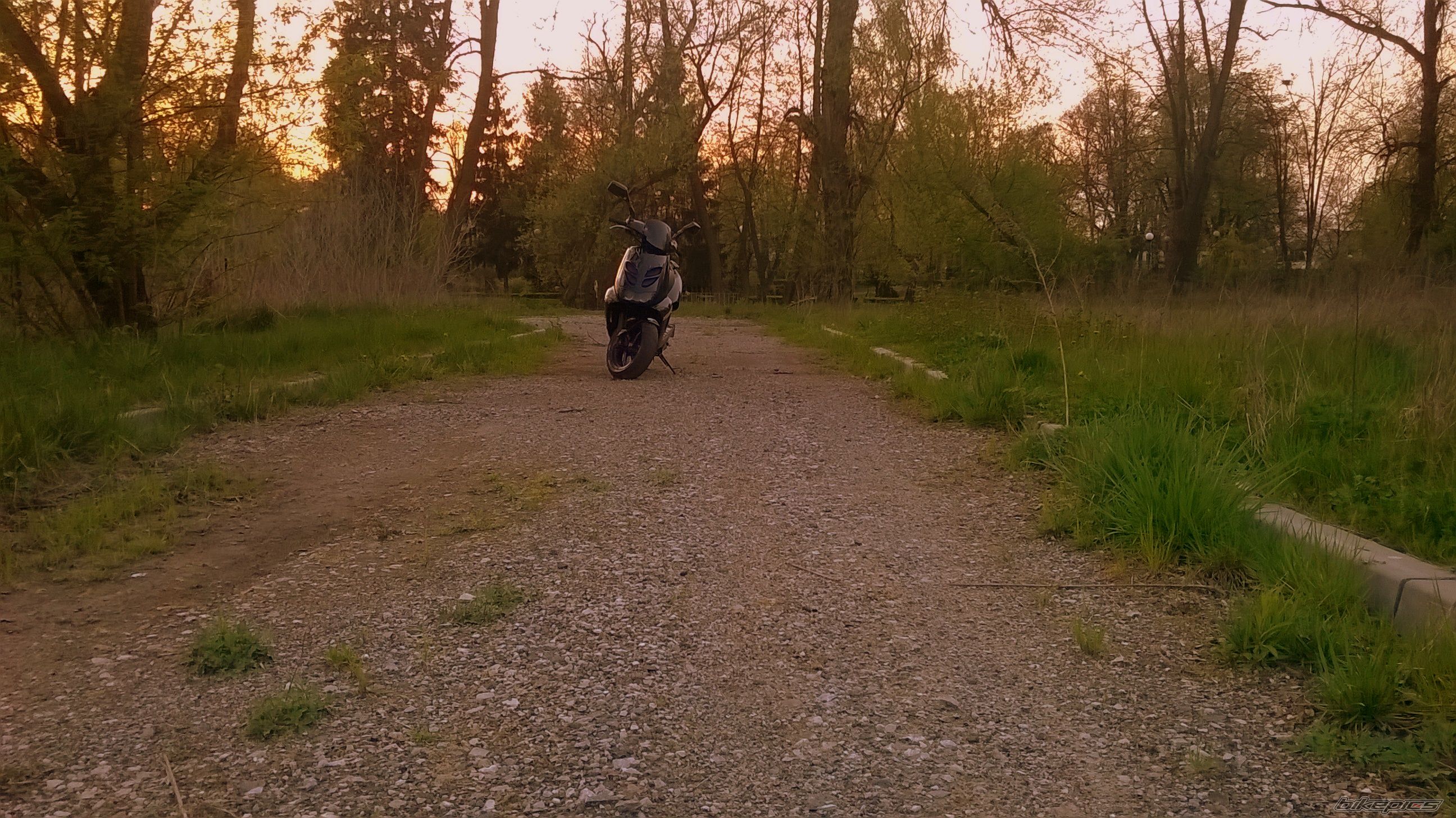 Photo 2738842