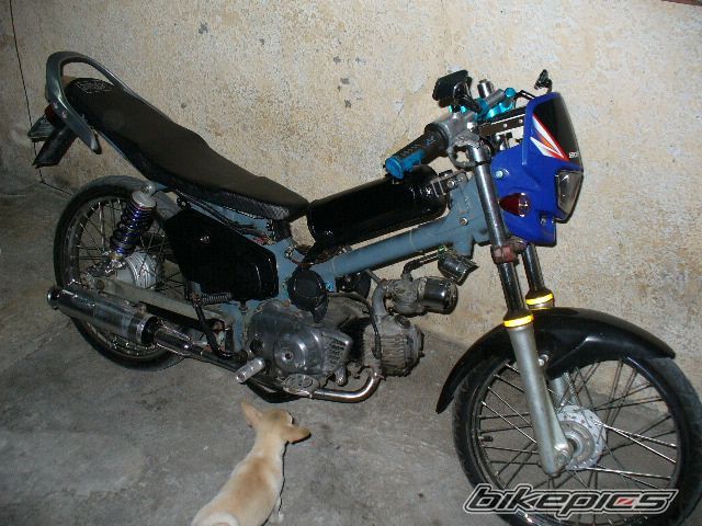 Photo 2738960