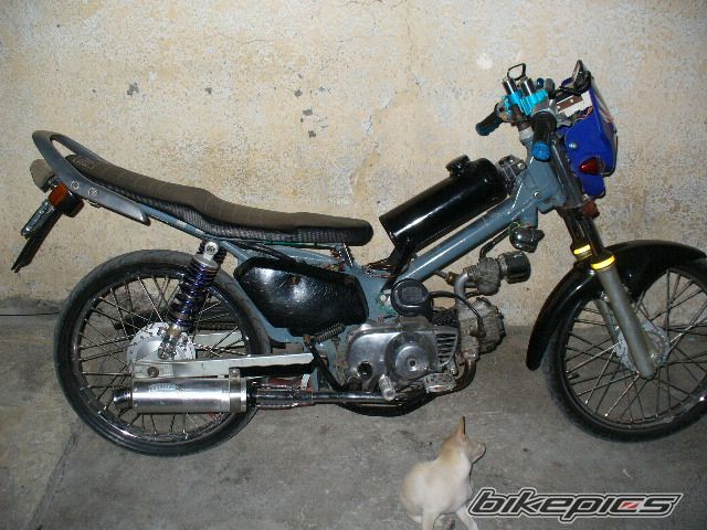 Photo 2738962