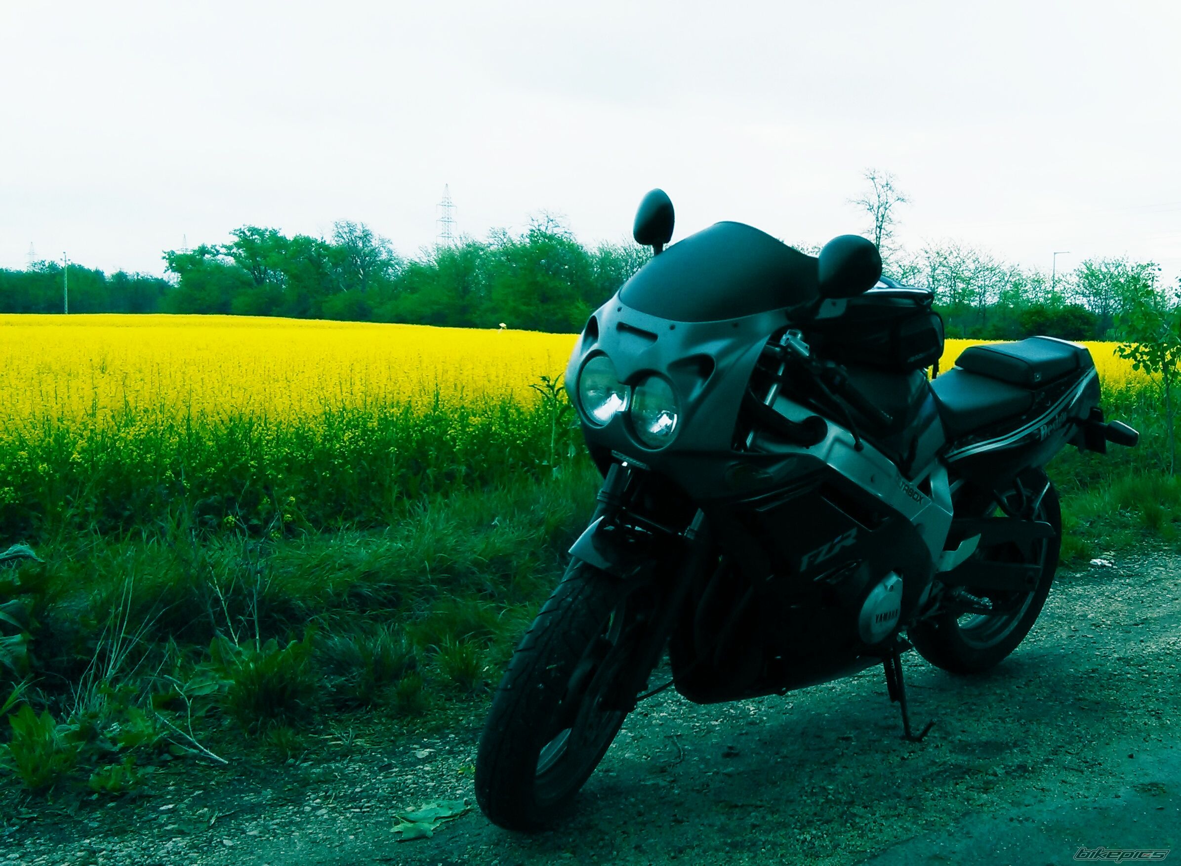 FZR 500