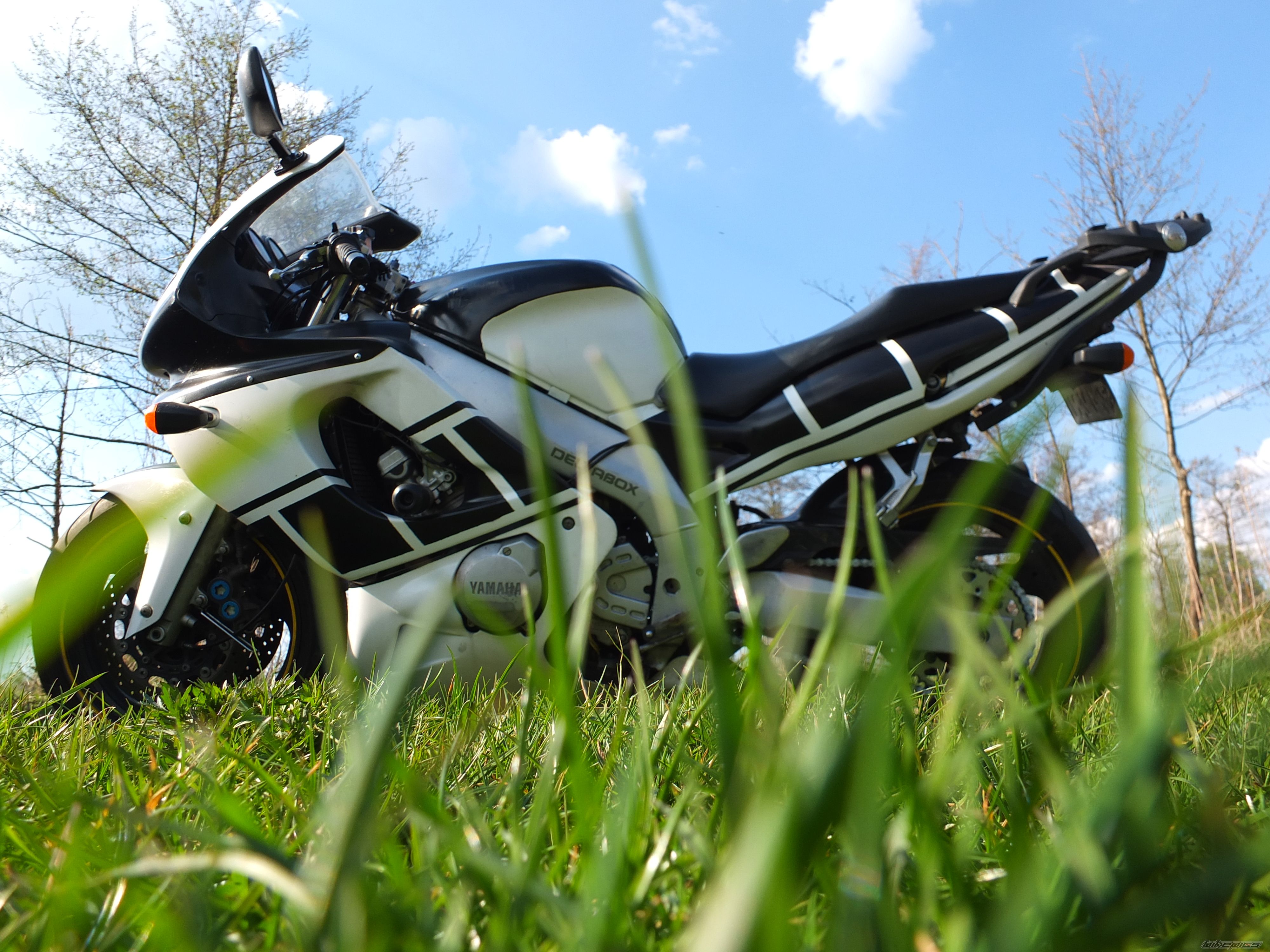 Photo 2742242