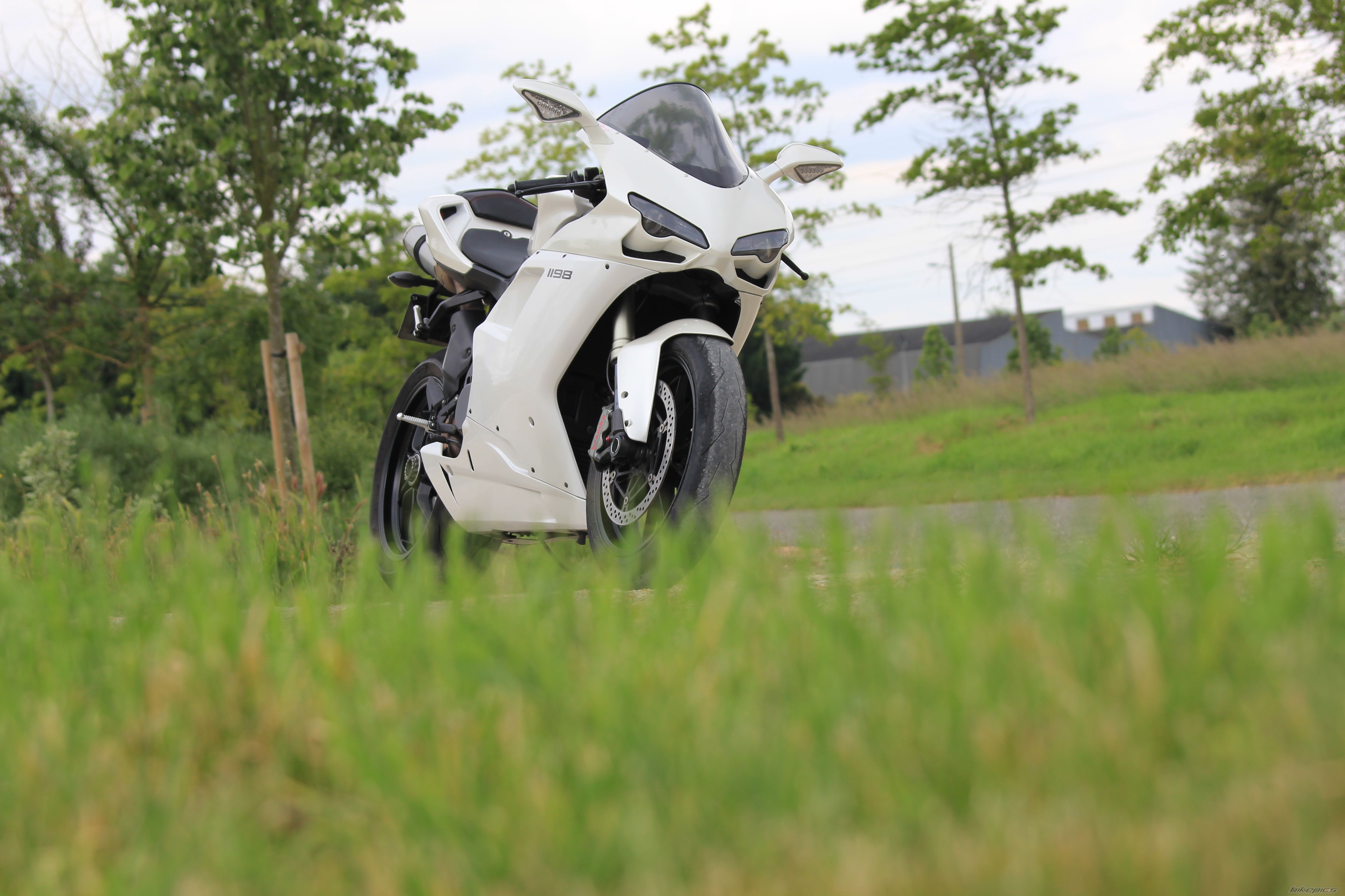 Photo 2743340