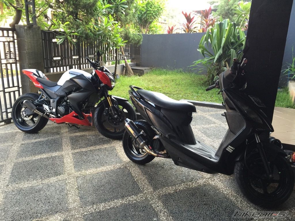 Photo 2745179