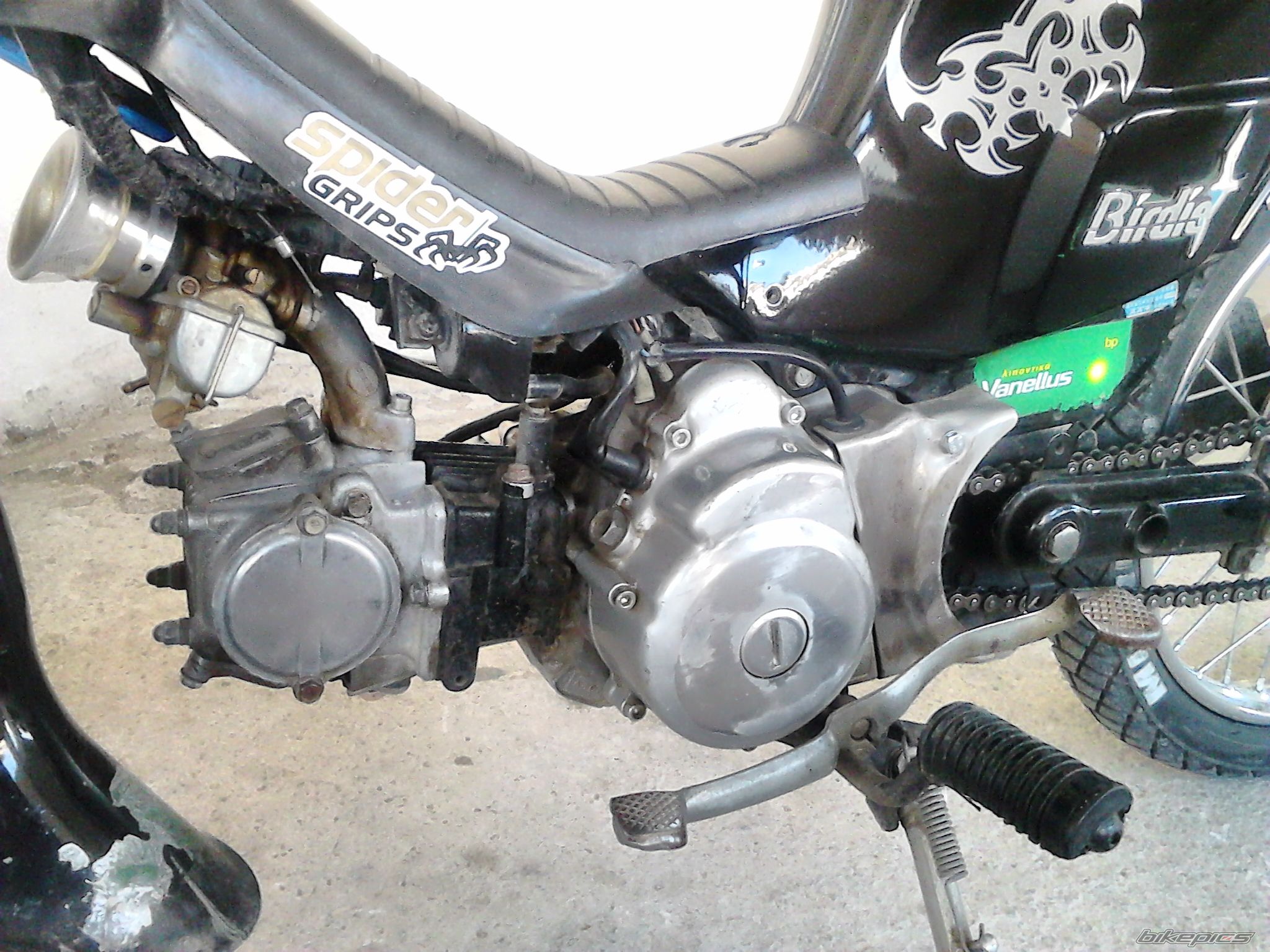 Photo 2747217