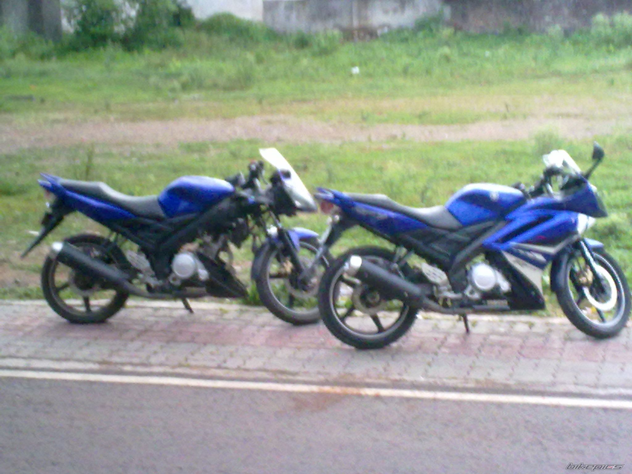 Photo 2748052