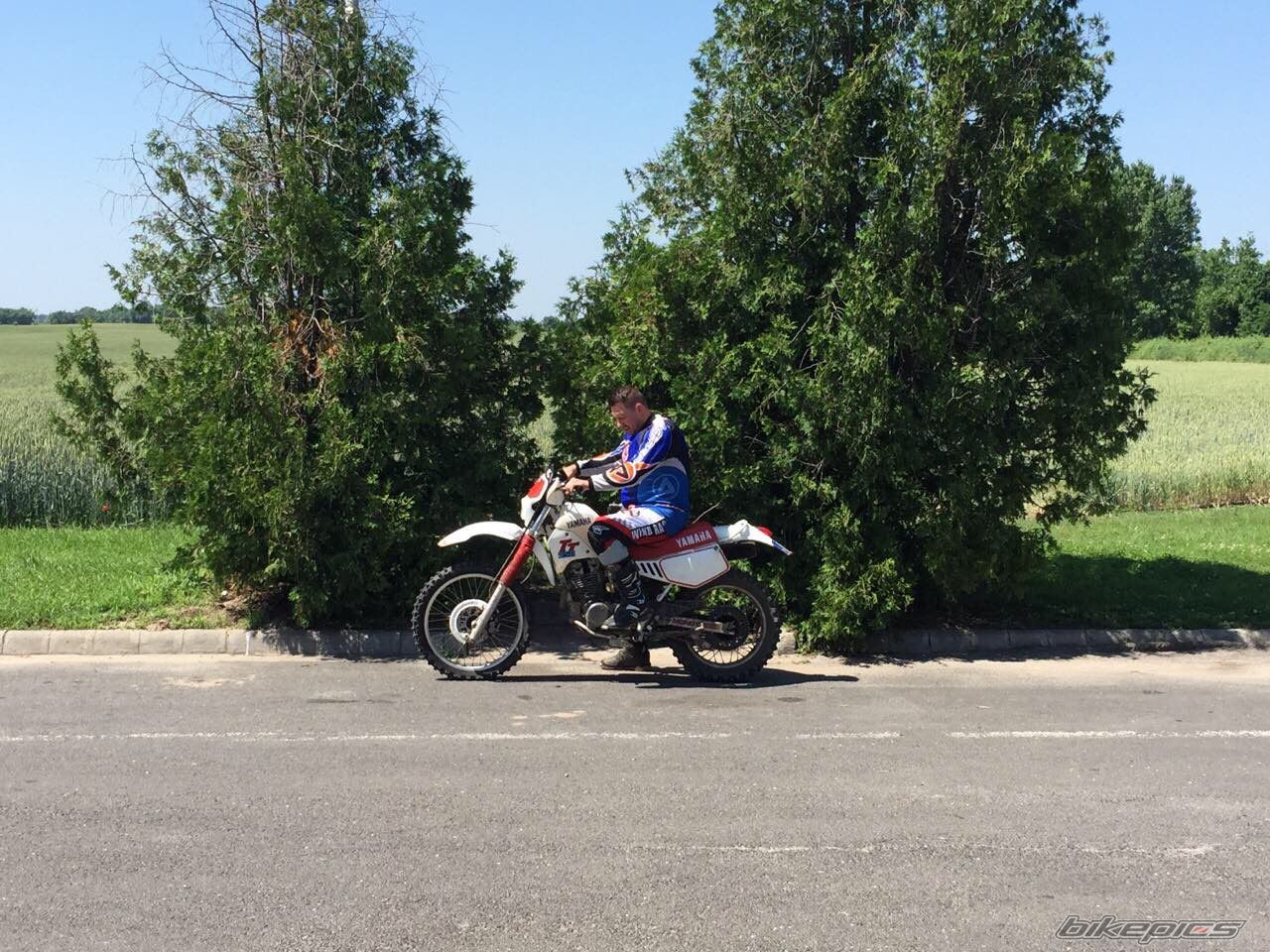 Photo 2749928