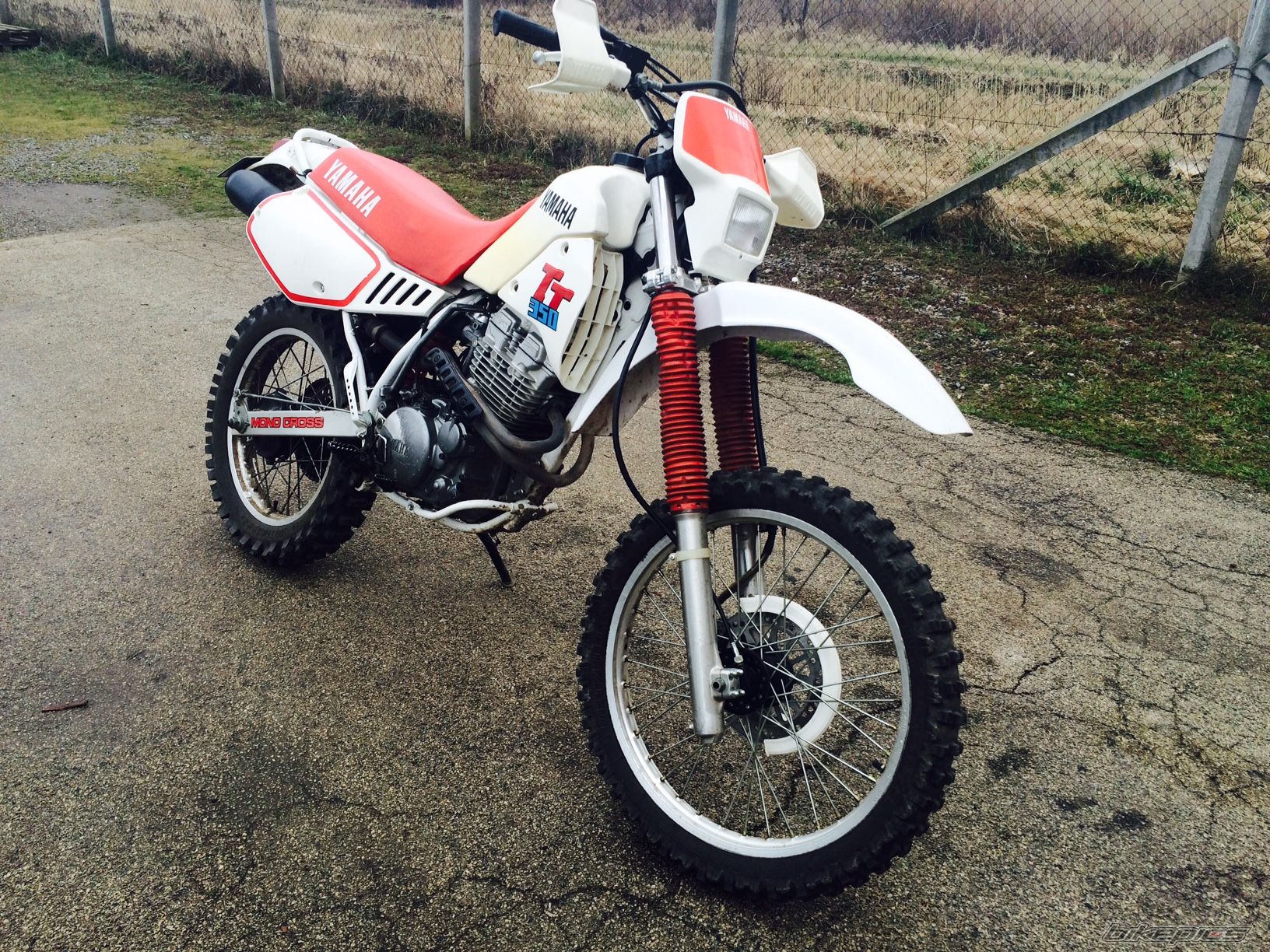 Photo 2749933