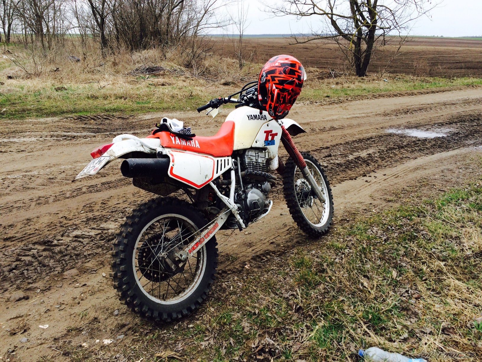 Photo 2749934