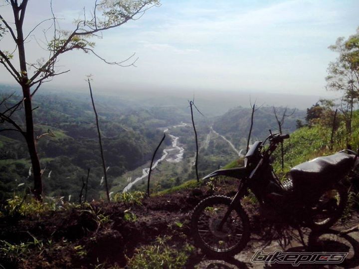 Photo 2751482