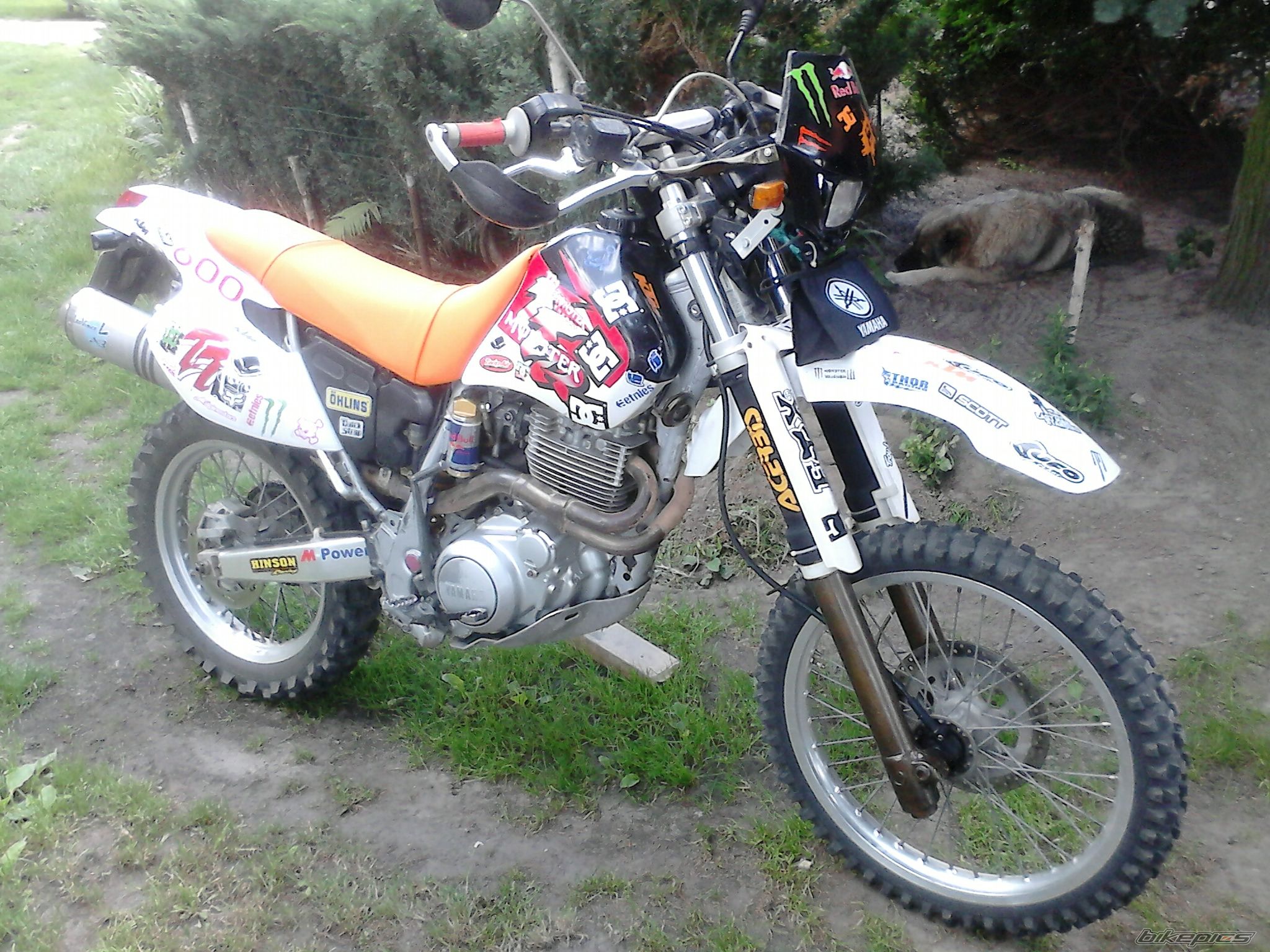 Photo 2751687
