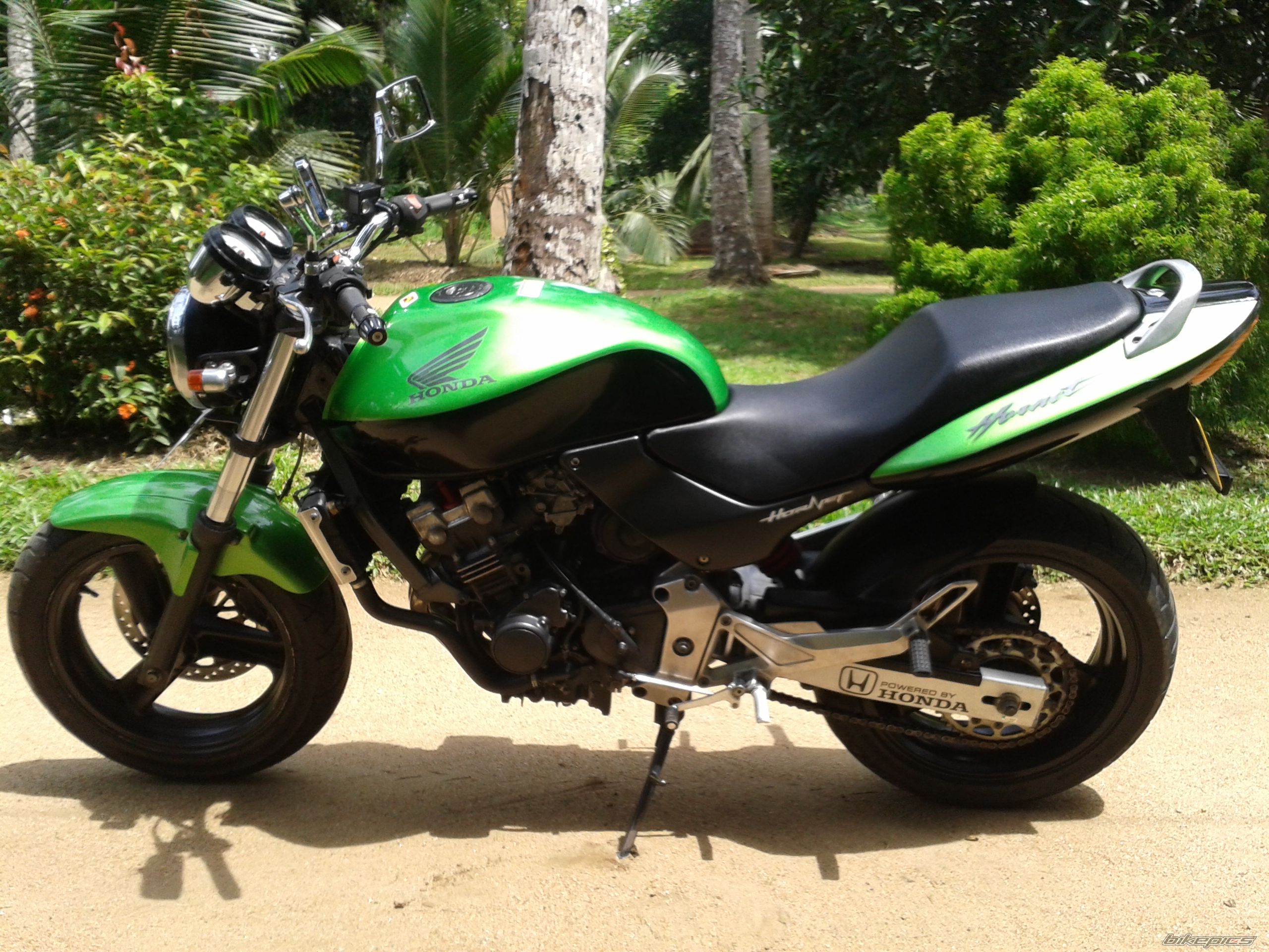 Photo 2753328