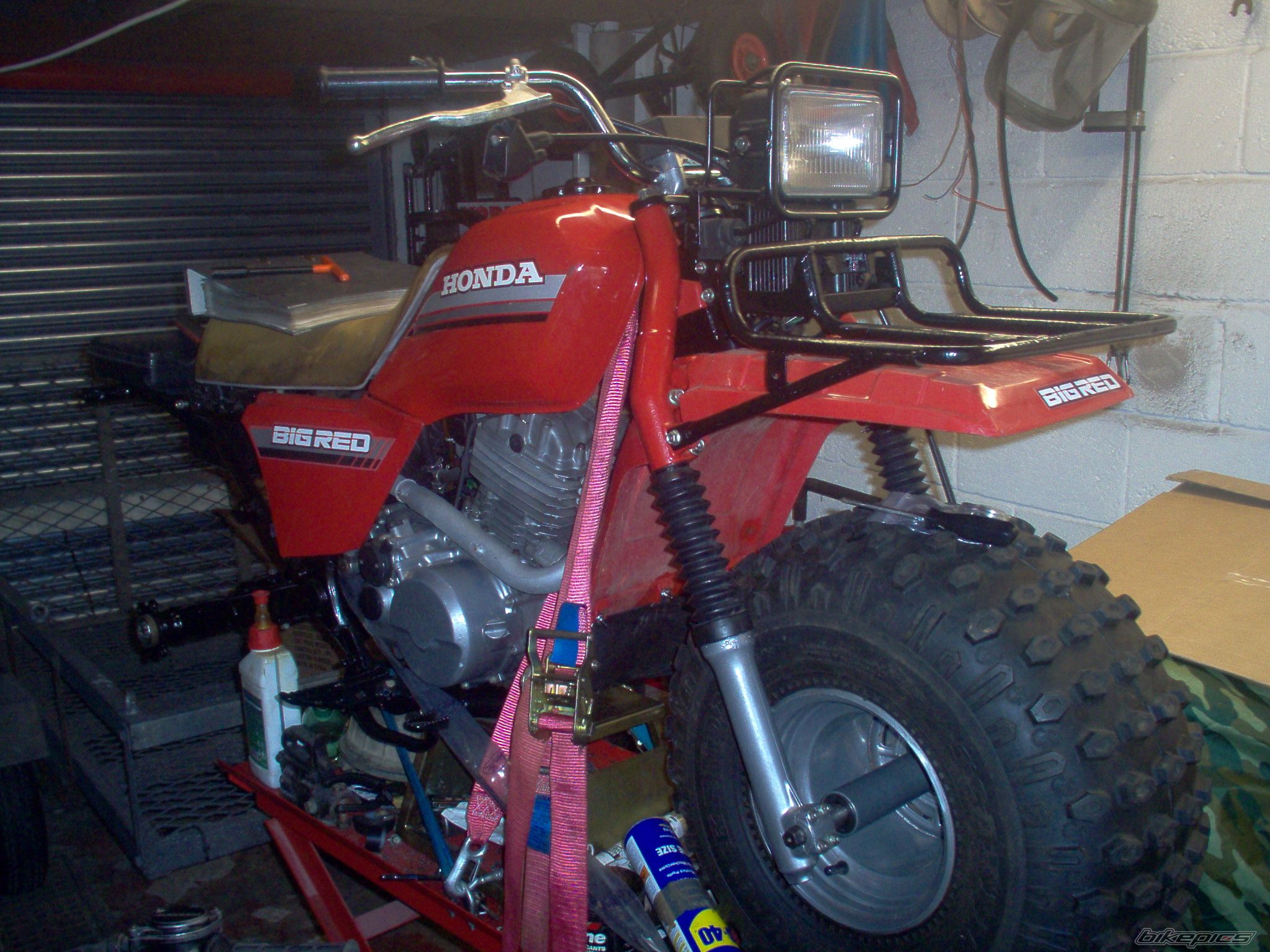Photo 2753449
