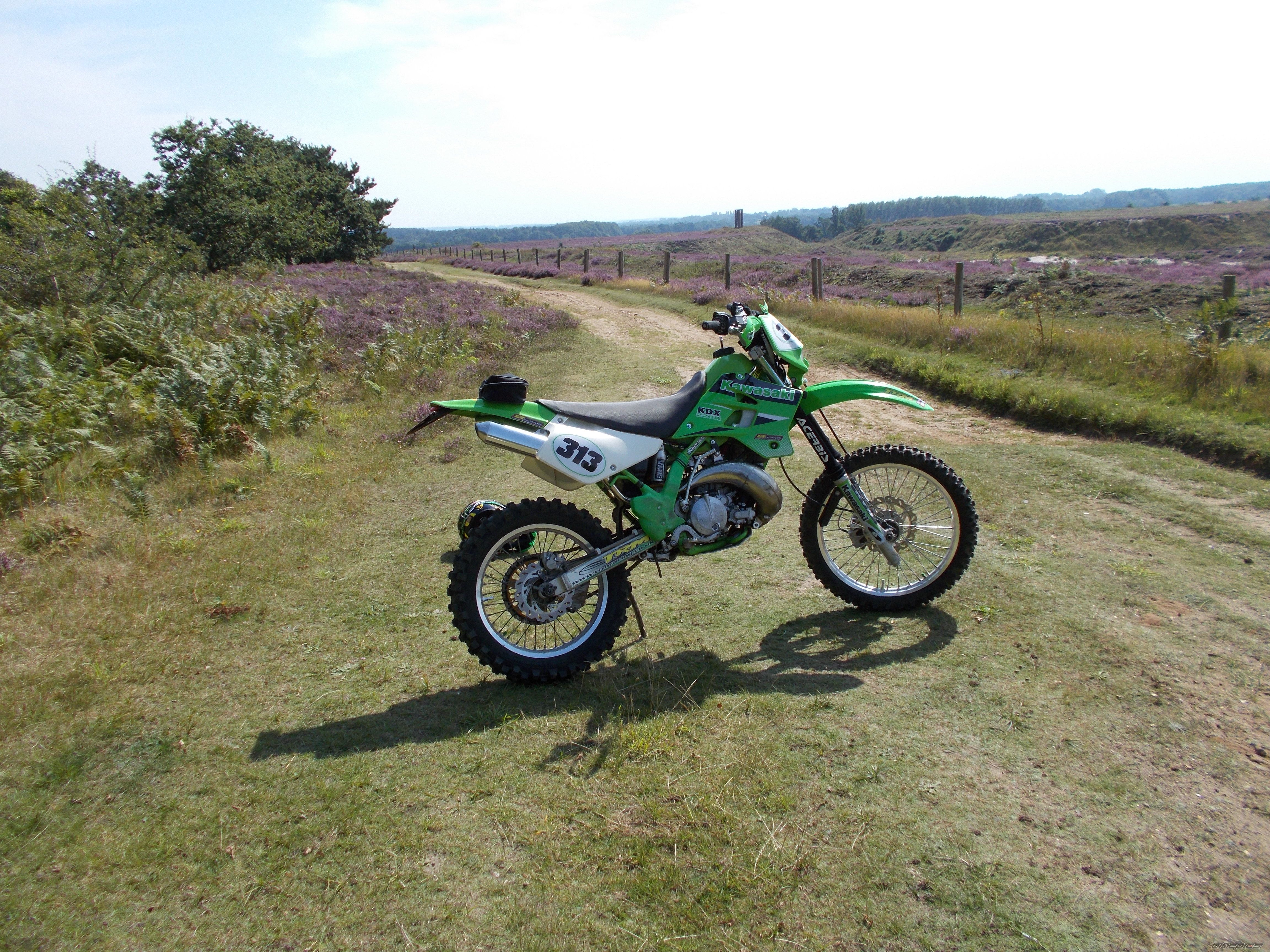Photo 2754458