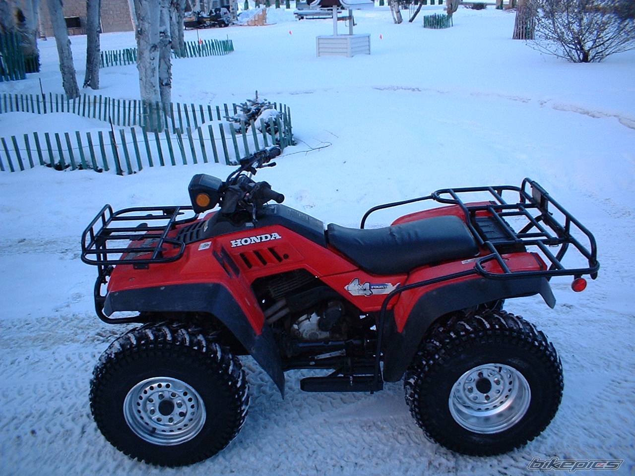 Photo 275481