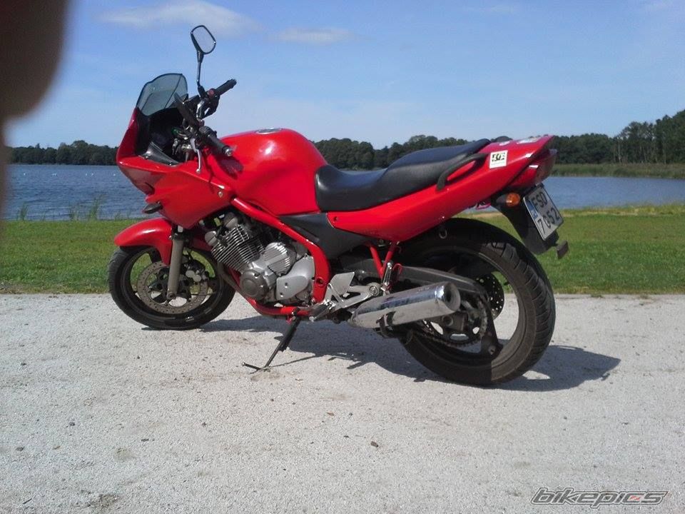 Photo 2755069