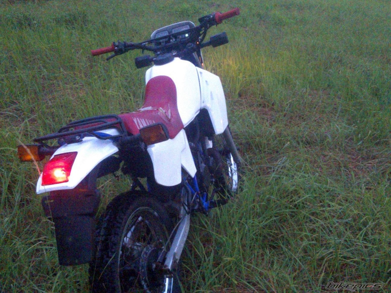 Photo 2756467