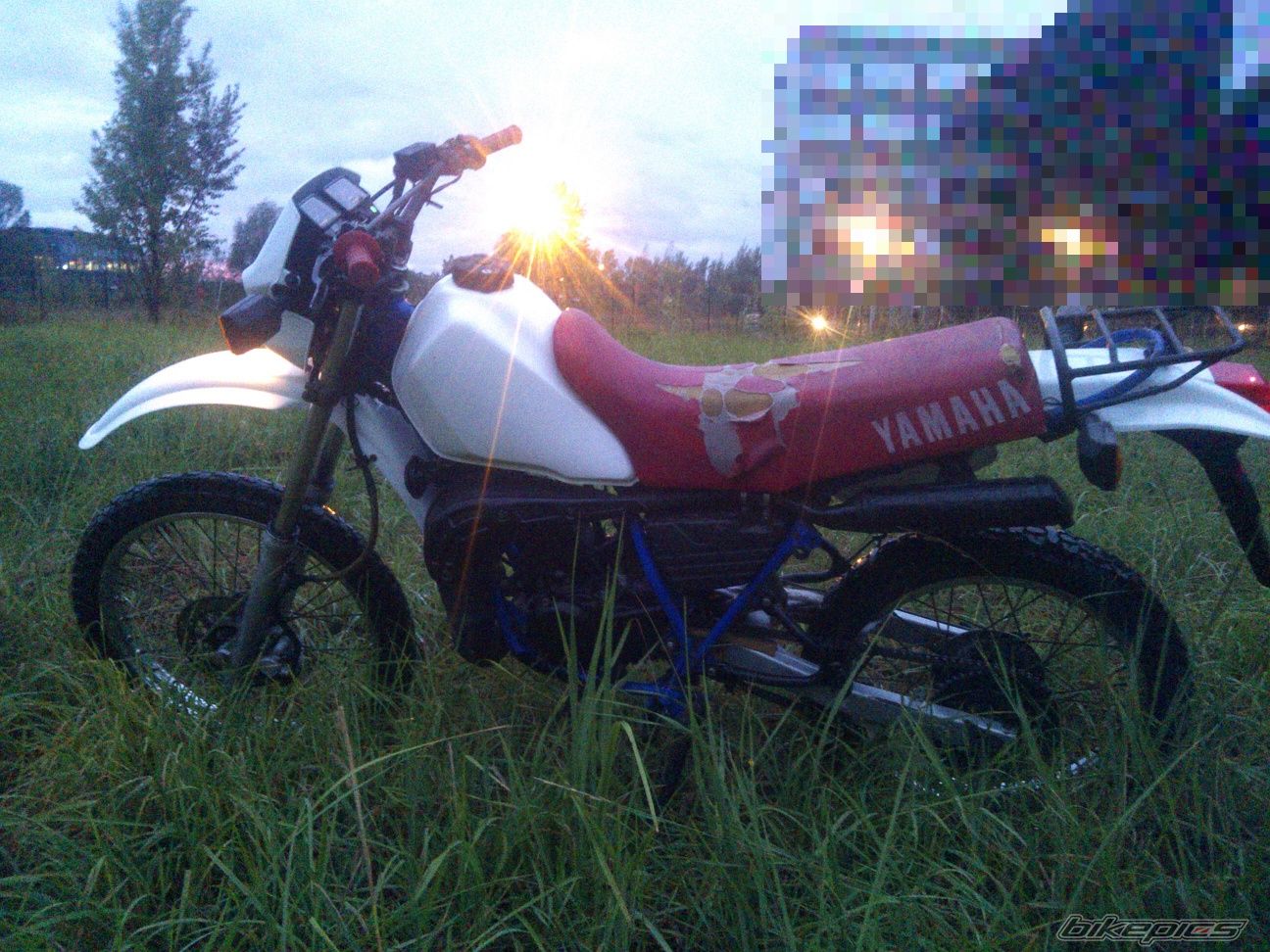 Photo 2756468