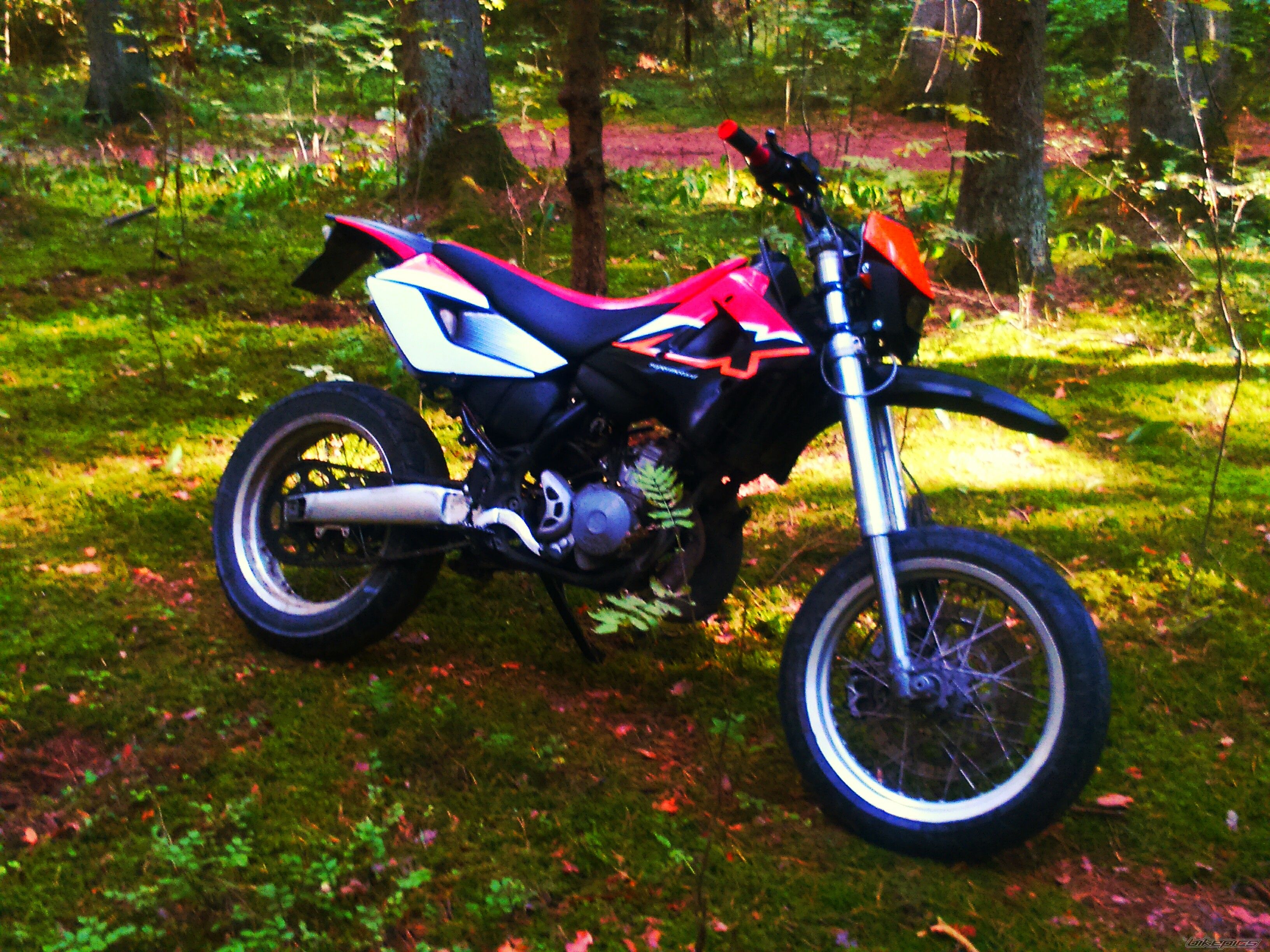 Photo 2756901
