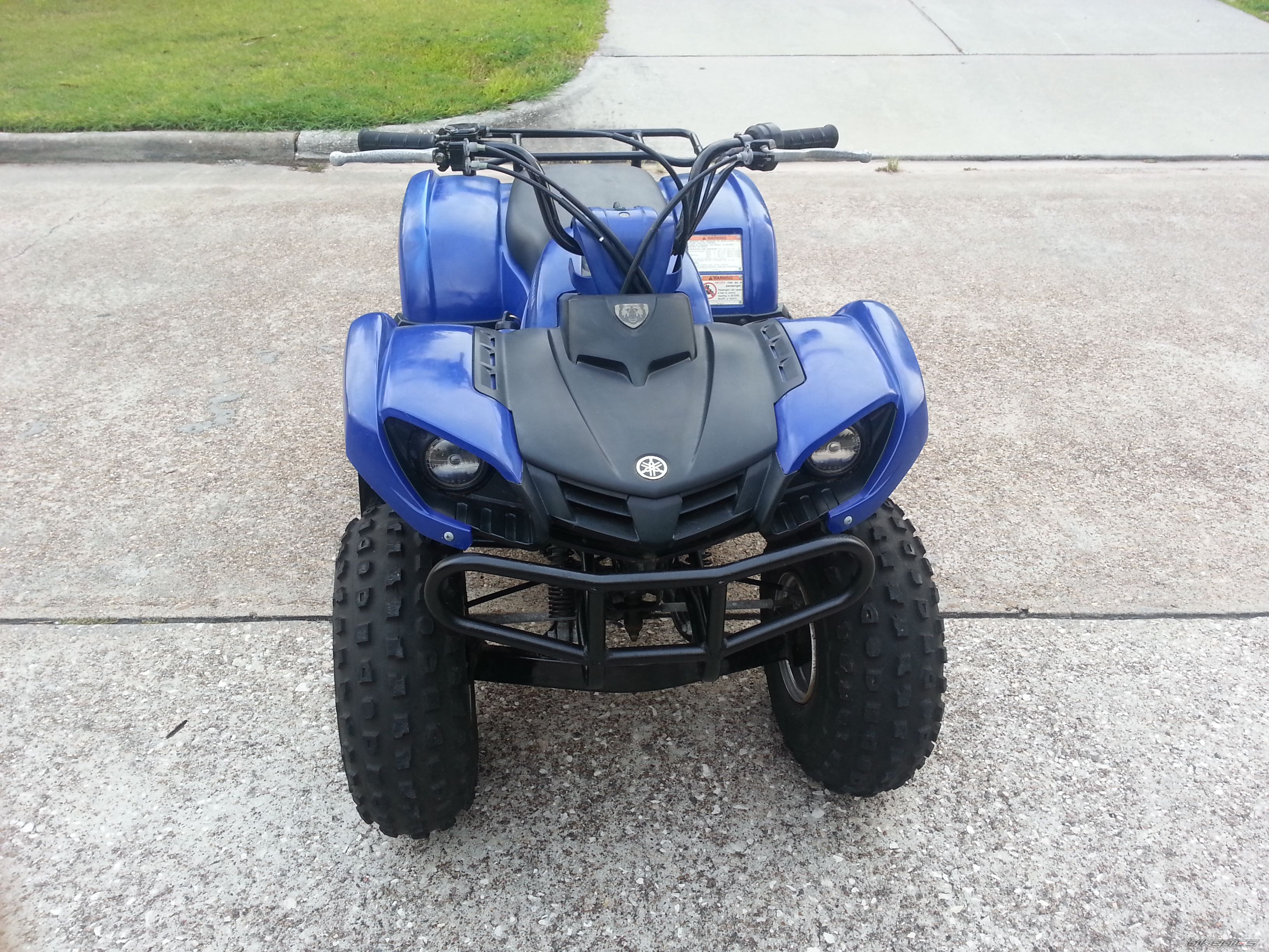 Grizzly 80cc