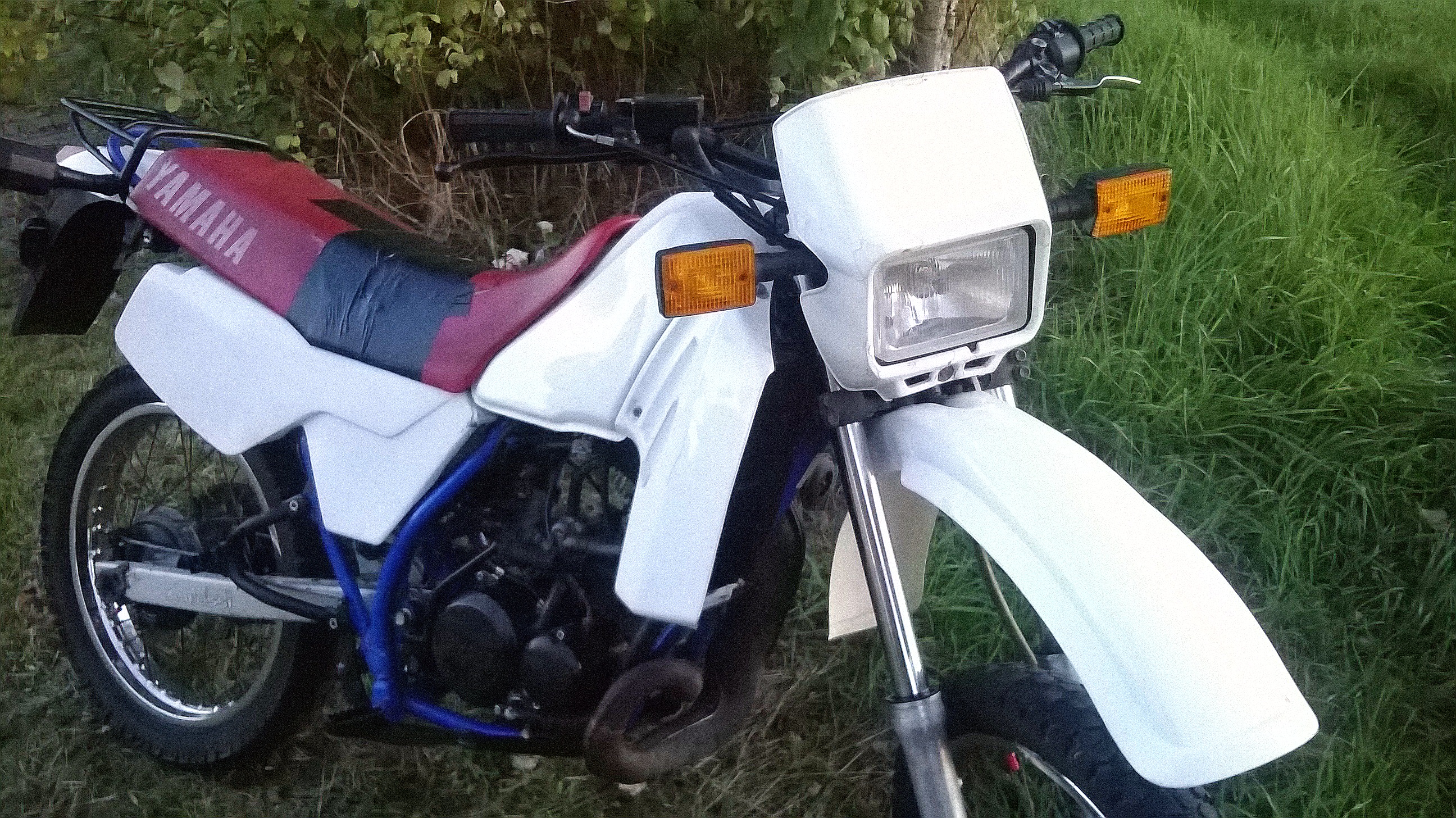 Photo 2759677