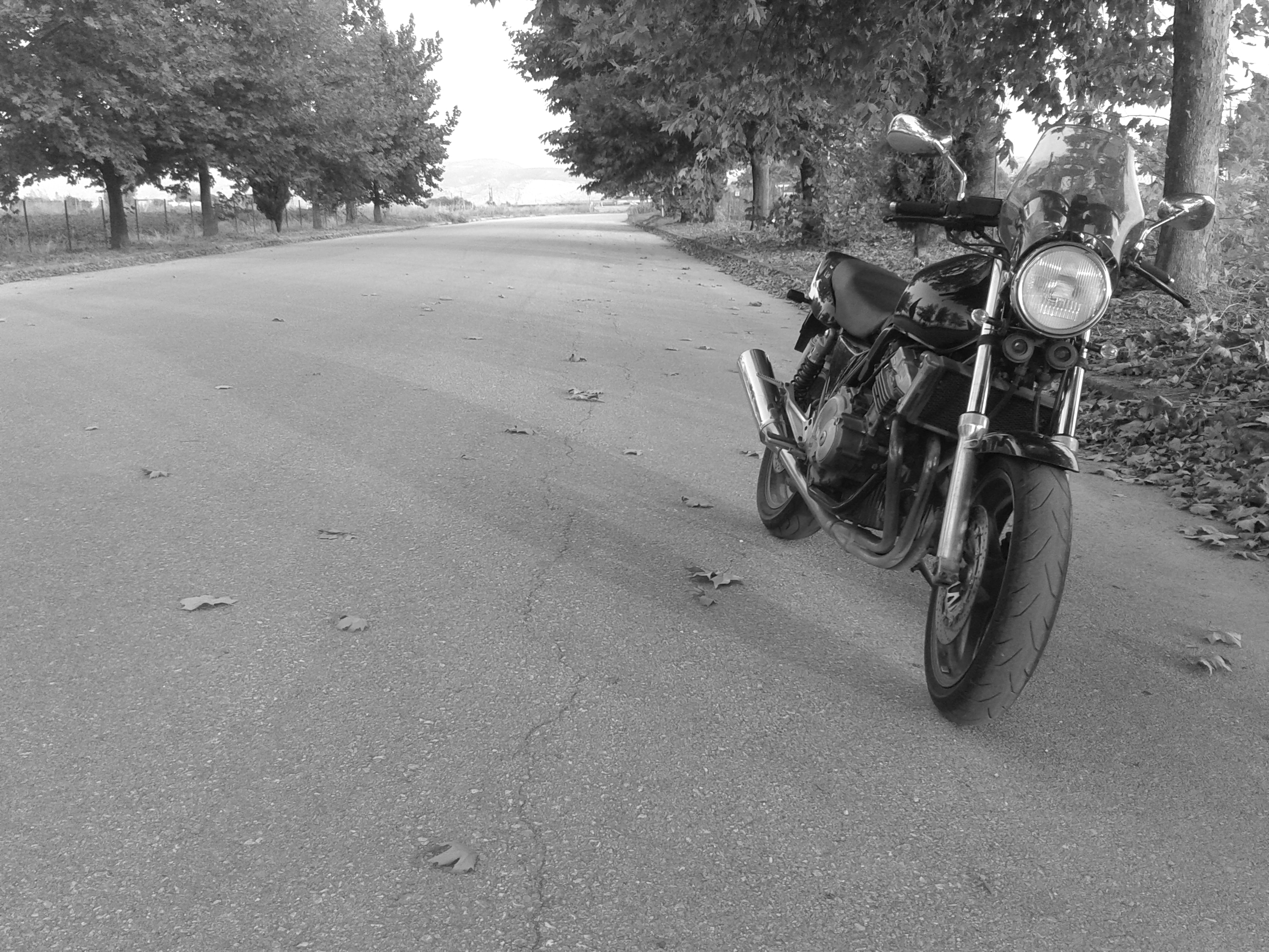 Photo 2760348
