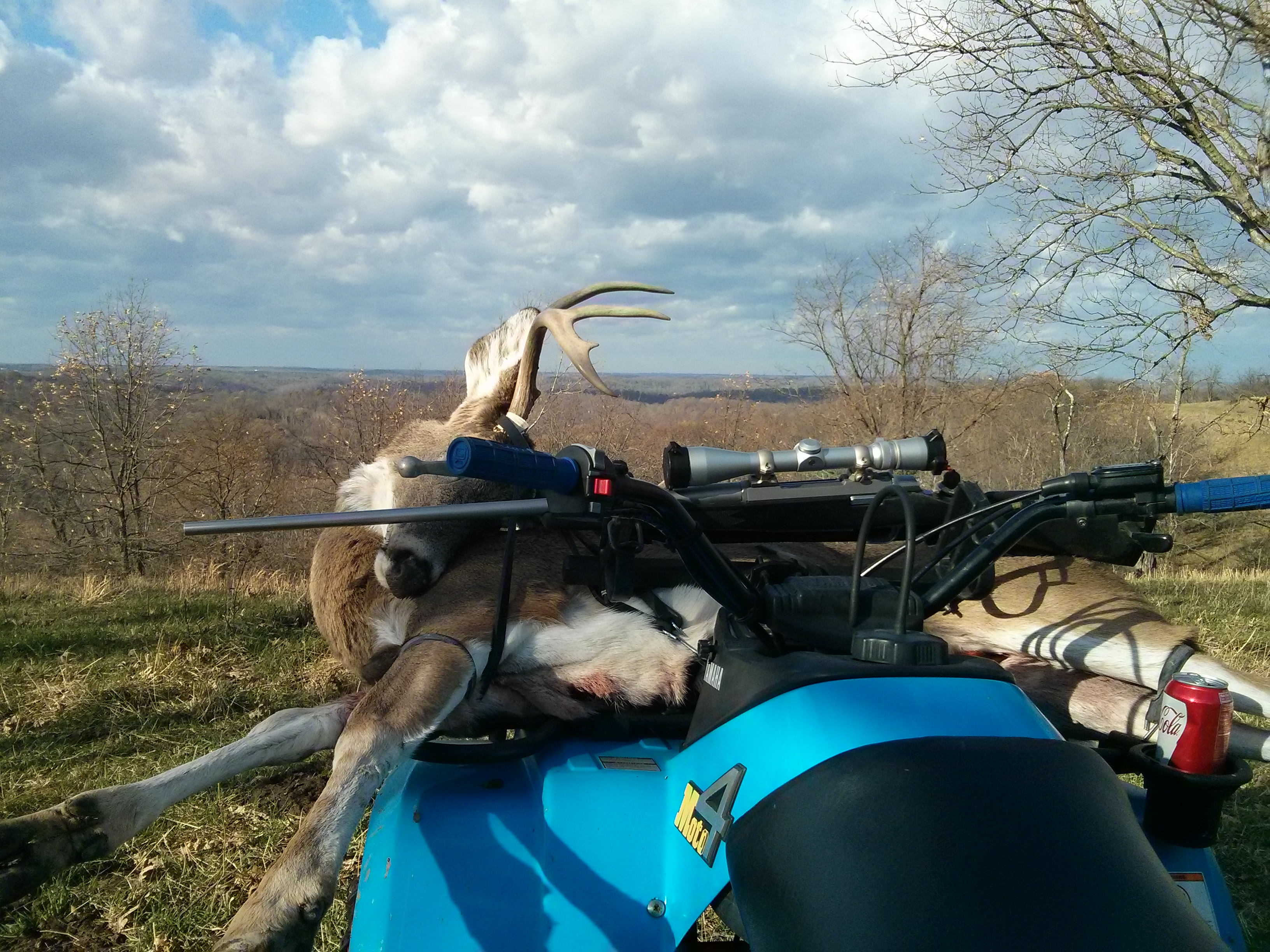 Photo 2761705